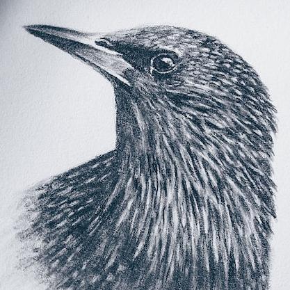 CAPP RE Holdings Corp.